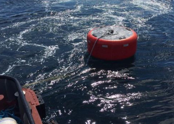 Kualitas Welding Intercepting Mooring Marine Buoys Navigation pabrik