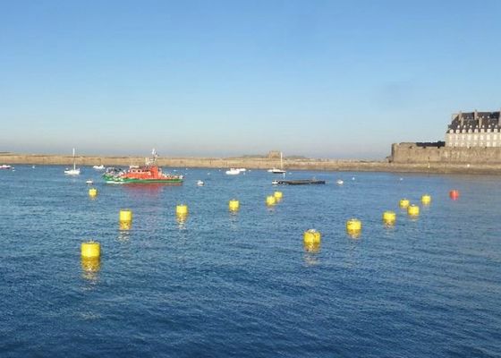 Kualitas Rod Offshore Mooring Buoy, Polythene Channel Marker Buoy Untuk Kehidupan Air pabrik