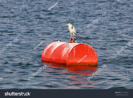 Kualitas Daya Apung Tinggi Baja Besar Mooring Buoy Floating Marine Buoys Untuk Yacht pabrik